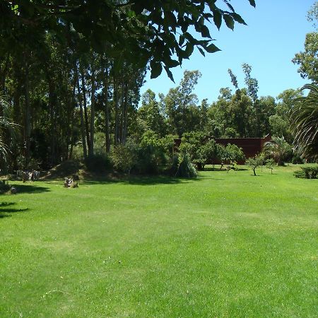 La Posta De La Laguna La Paloma Ngoại thất bức ảnh