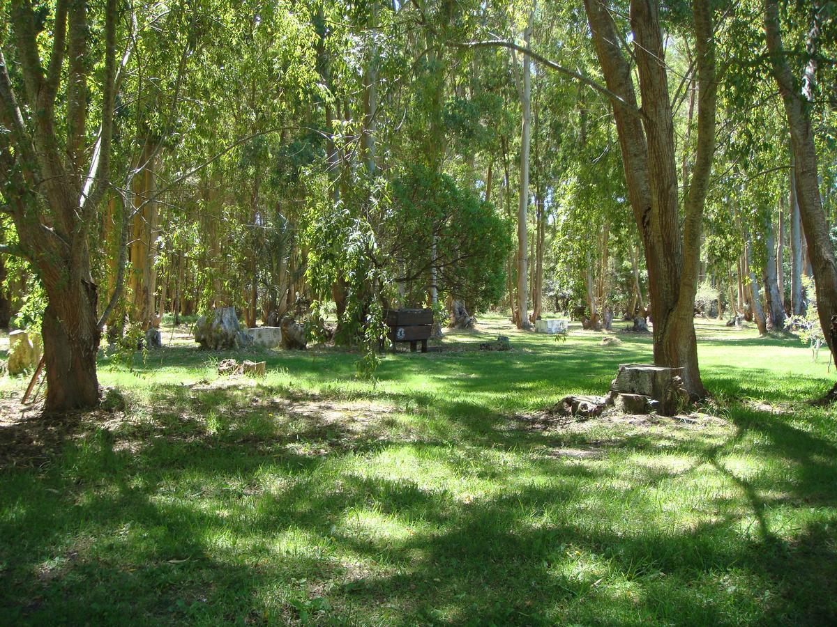La Posta De La Laguna La Paloma Ngoại thất bức ảnh
