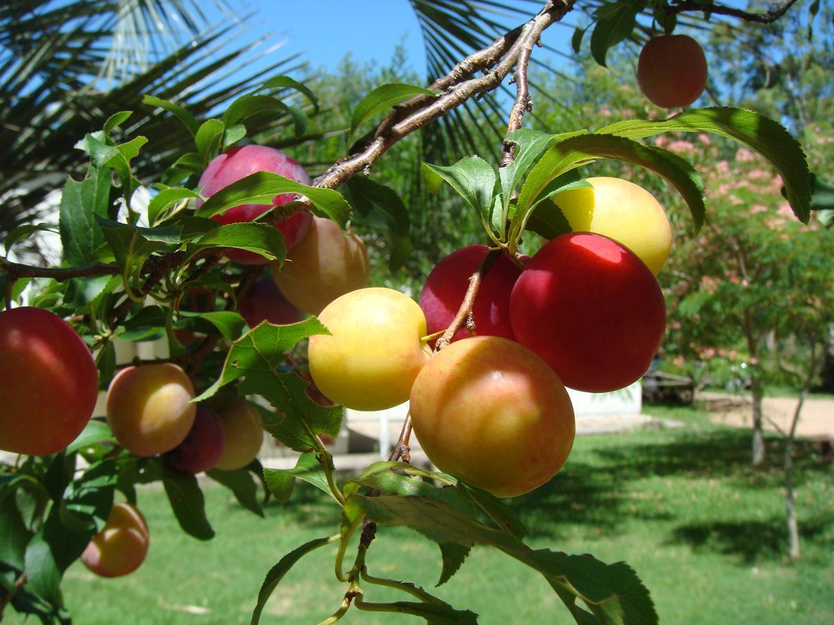 La Posta De La Laguna La Paloma Ngoại thất bức ảnh