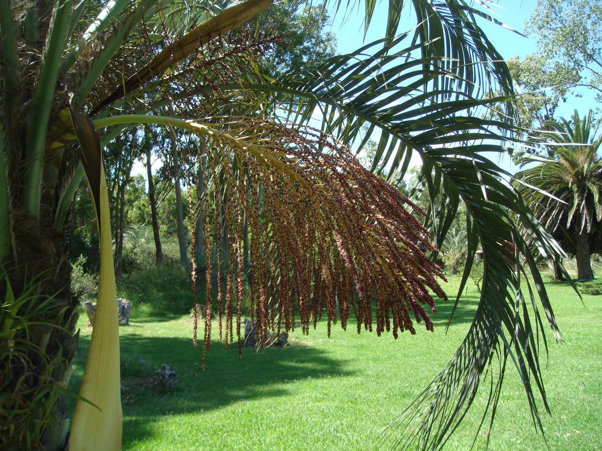 La Posta De La Laguna La Paloma Ngoại thất bức ảnh