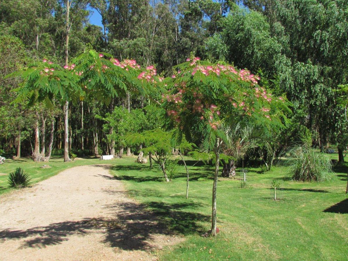 La Posta De La Laguna La Paloma Ngoại thất bức ảnh