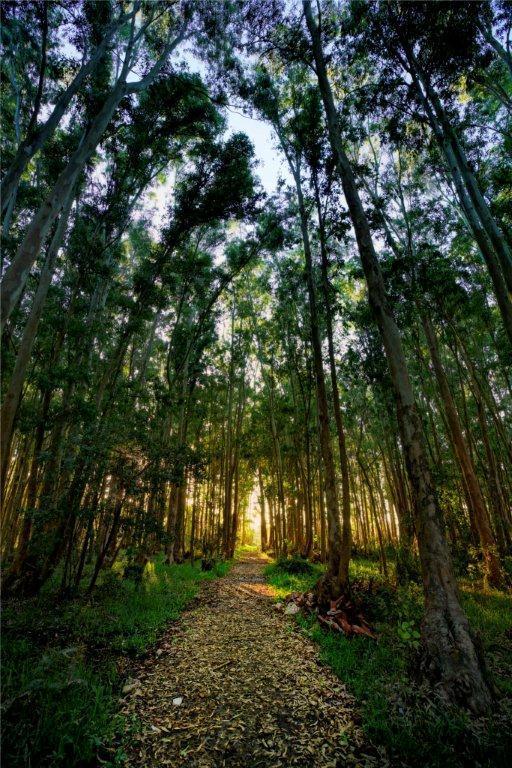 La Posta De La Laguna La Paloma Ngoại thất bức ảnh