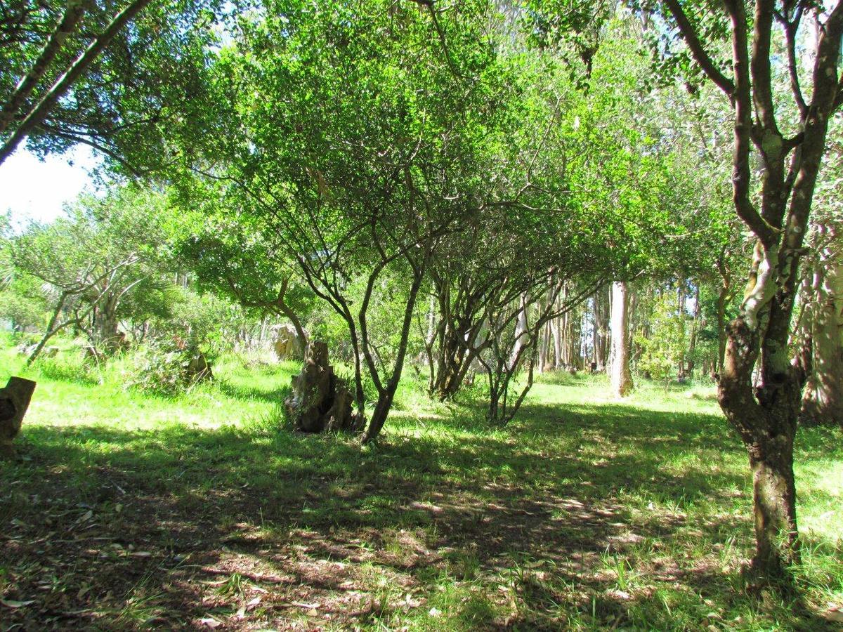 La Posta De La Laguna La Paloma Ngoại thất bức ảnh