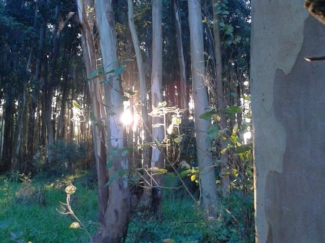 La Posta De La Laguna La Paloma Ngoại thất bức ảnh